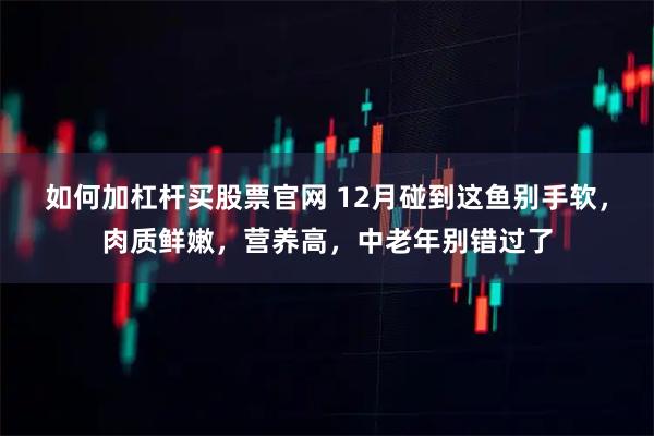 如何加杠杆买股票官网 12月碰到这鱼别手软，肉质鲜嫩，营养高，中老年别错过了